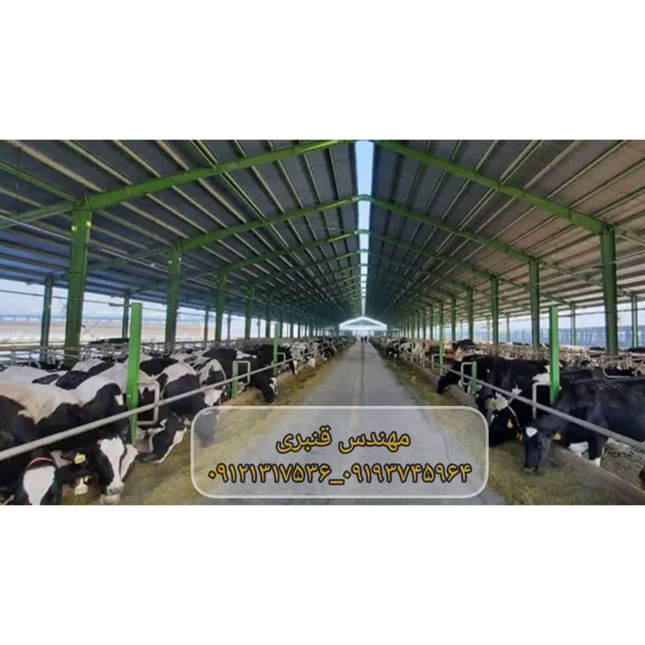 باسکول جاده ای در دامپروری
