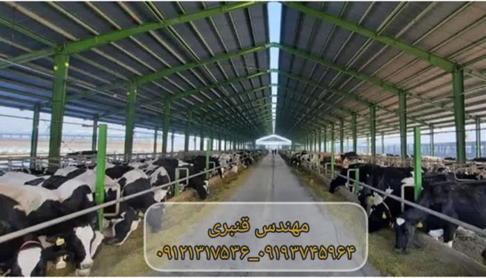 باسکول جاده ای در دامپروری
