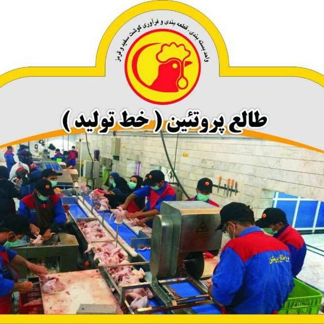 طالع زاری